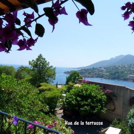 Ferienwohnung Studio A Theoule Sur Mer A 400 M De La Plage Avec Vue Sur La Mer Terrasse Amenagee Et Wifi Exterior foto